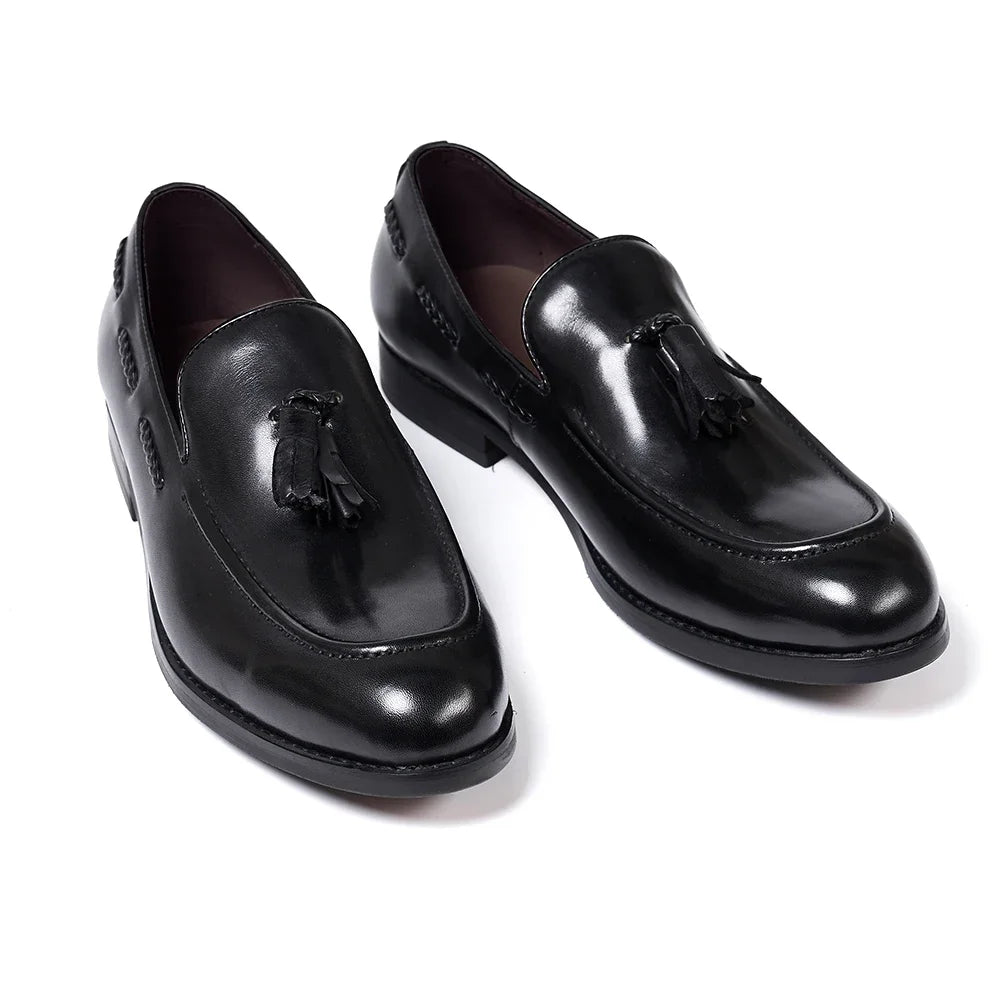 Men's tassel loafers with decorative tassels, Brown, side view