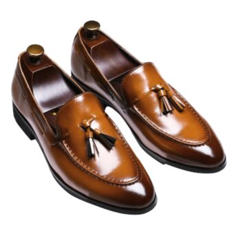 Genuine leather dress loafers with tassels for men on a white background