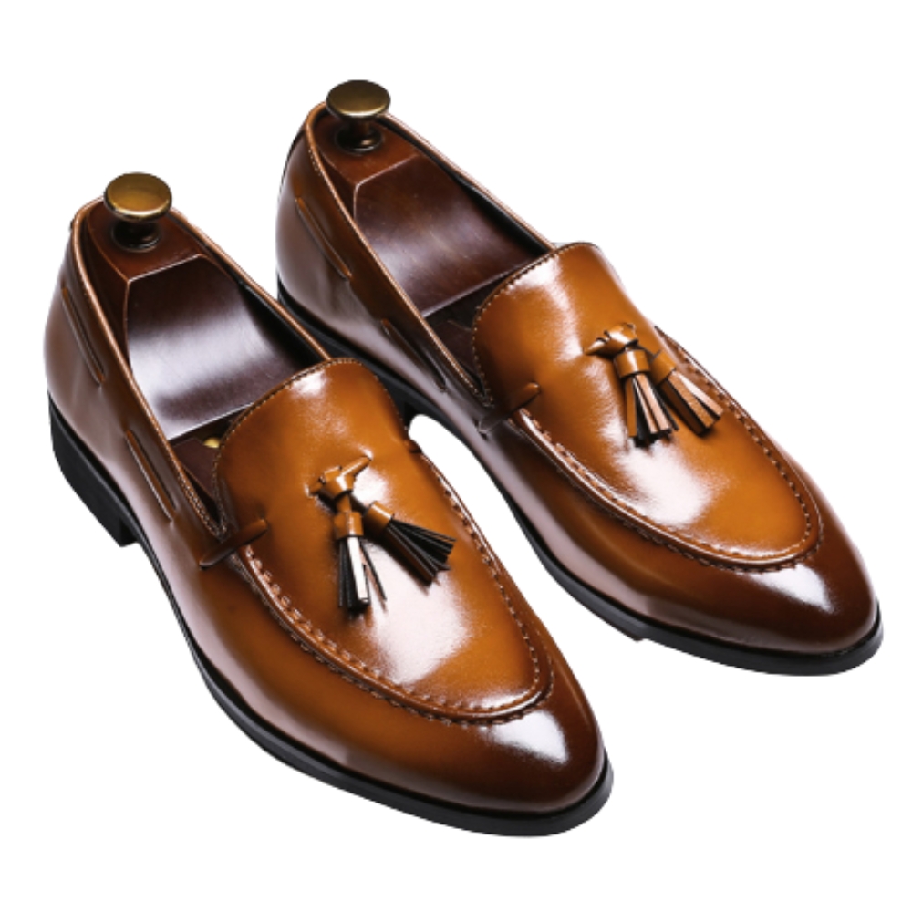 Genuine leather dress loafers with tassels for men on a white background